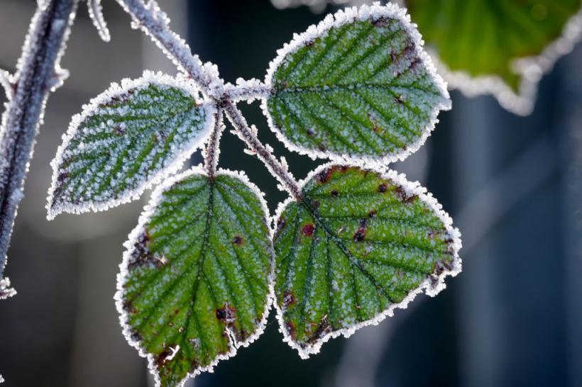 Cea mai rece zi de 21 octombrie din istorie. Cât au arătat termometrele la o staţie meteo din Harghita