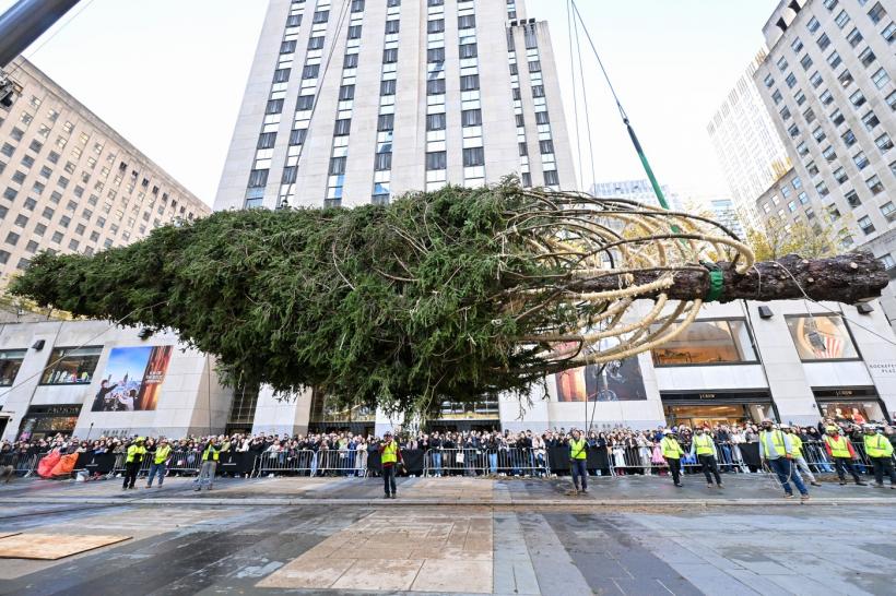 Bradul de Crăciun de la Rockefeller Center din acest an a ajuns la New York după o călătorie de 209 km și are o poveste emoționantă