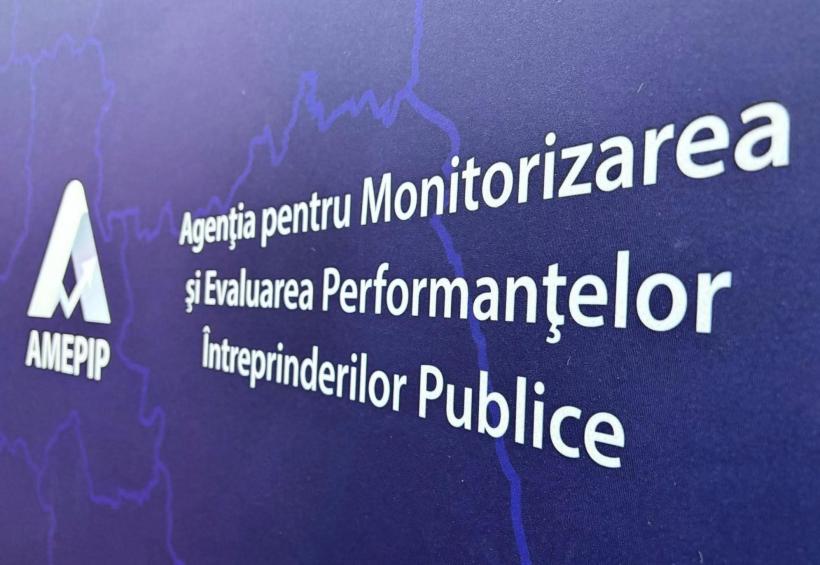 Mega-agenția AMEPIP, care monitorizează companiile de stat, are o nouă conducere. Cine este Anișoara Ulcelușe