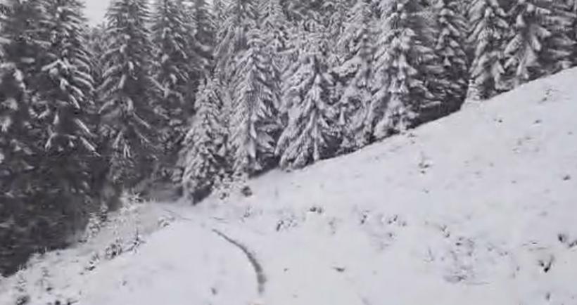 Galerie Foto - Imagini din stațiunea Straja, unde ninge și stratul de ...