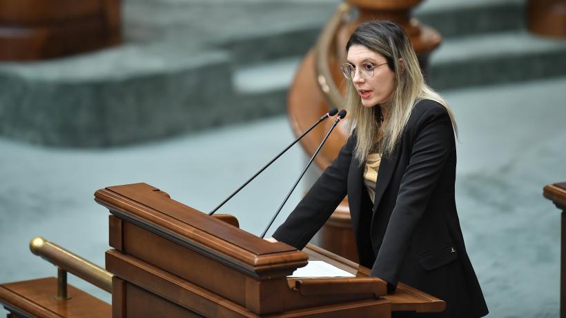 Diana Buzoianu nu îşi dă demisia după ce moţiunea a trecut de Senat: "Nimeni nu crede că  aş fi vinovată de ceva la Lacul Paltinu"