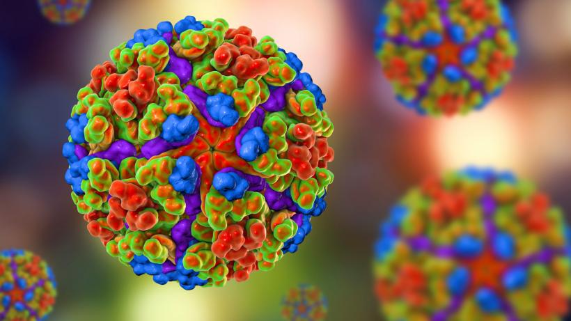 Alertă sanitară în România: Primul caz de virus Chikungunya din țara noastră, confirmat la un bărbat venit din Africa. Ce simptome are