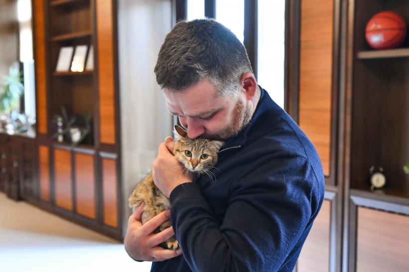 Ciprian Ciucu și-a luat pisică și la Primăria Generală. Cathy a fost găsită grav rănită pe stradă și a fost adoptată 