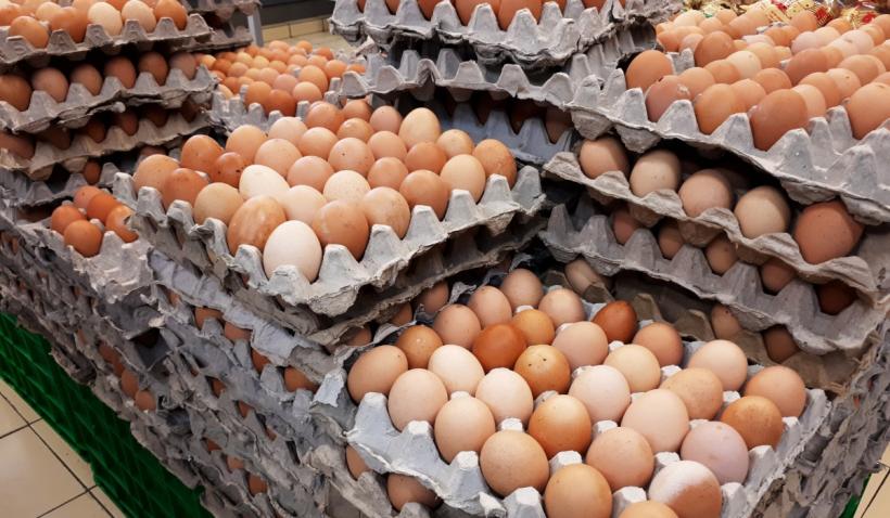 Francezii au consumat un număr record de ouă, în 2025: 237, în medie, de fiecare locuitor