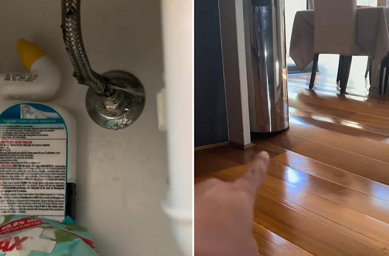 O casă a fost distrusă de o mică fisură în țeava de apă. Doi soți plecați în vacanță s-au trezit cu pagube de 100.000 $ la întoarcere