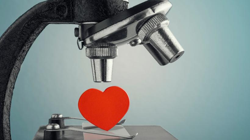 Ce a descoperit știința, până acum, despre „suflete pereche”: Există, cu adevărat, cineva perfect pentru tine?