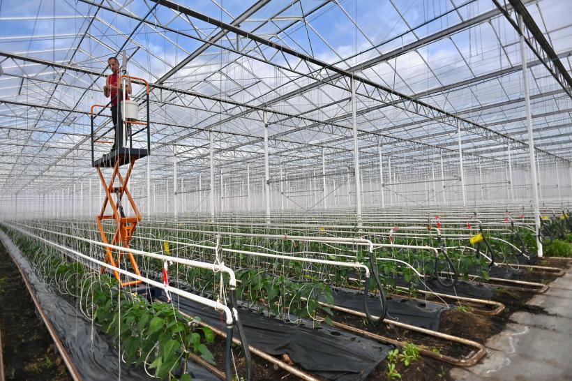 Noi precizări privind taxa pe sere. Ministrul Agriculturii: "Termenul a fost prorogat. Proiectul ajunge în Parlament”