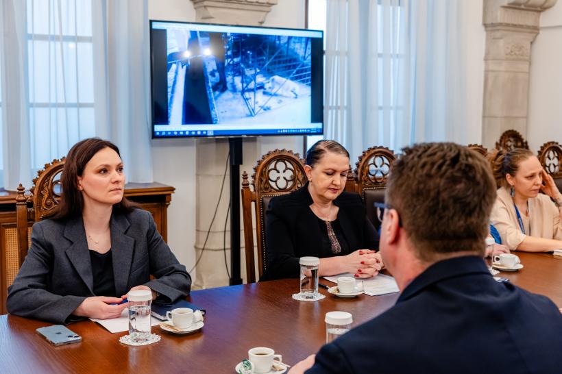 Ororile de la Suraia. Administrația Prezidențială intervine în cazul uciderii câinilor din adăposturi: „Este o problemă sistemică”