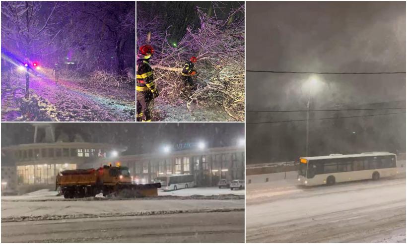 Viscol puternic în București și în alte 14 județe: Copaci căzuți peste mașini, avioane oprite la sol, Portul Constanța închis