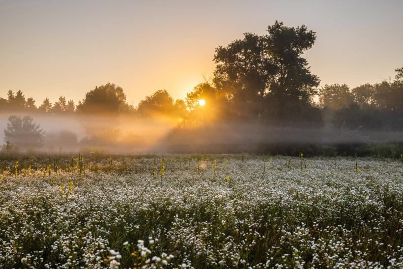 ANM anunță temperaturi de 18 grade Celsius și cer senin în următoarea săptămână în toată țara. Prognoza meteo până în 15 martie