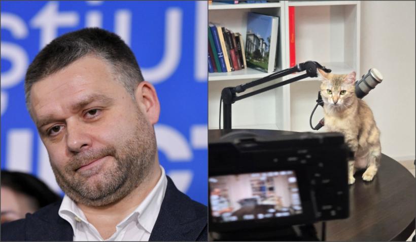 Ciucu anunță că-și face podcast: "Nu mă scălâmbăi trei secunde pe TikTok, să cultiv ură". A postat deja o poză cu pisica la microfon