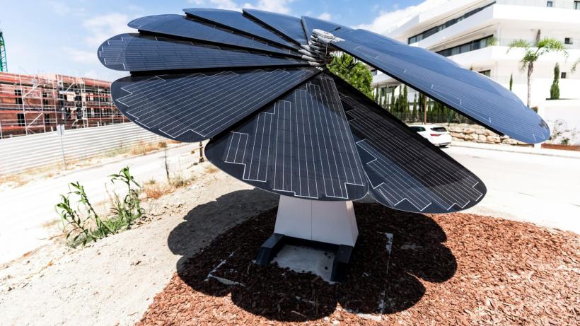 Panourile solare care „înfloresc” în fiecare dimineață și urmăresc soarele pe tot parcursul zilei