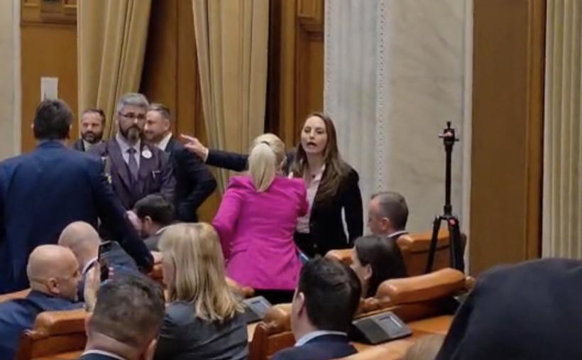 Anamaria Gavrilă a făcut o criză de nervi în plen. A țipat la o colegă deputat: „Stai în banca ta!”