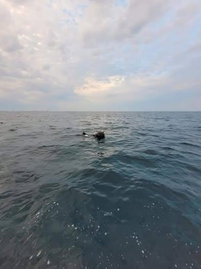 Dispută România-Rusia pe originea minelor marine în derivă în Marea Neagră. Replica MApN pentru Moscova
