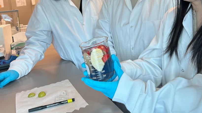 O nouă soluție naturală de spălare a fructelor elimină 94% din pesticide, iar strugurii rămân proaspeți 15 zile la temperatura camerei