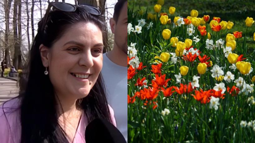 Festivalul „Simfonia Lalelelor”, ajuns la a 49-a ediție, cucerește Piteștiul: „Sunt multe flori minunate. Am venit special pentru asta”