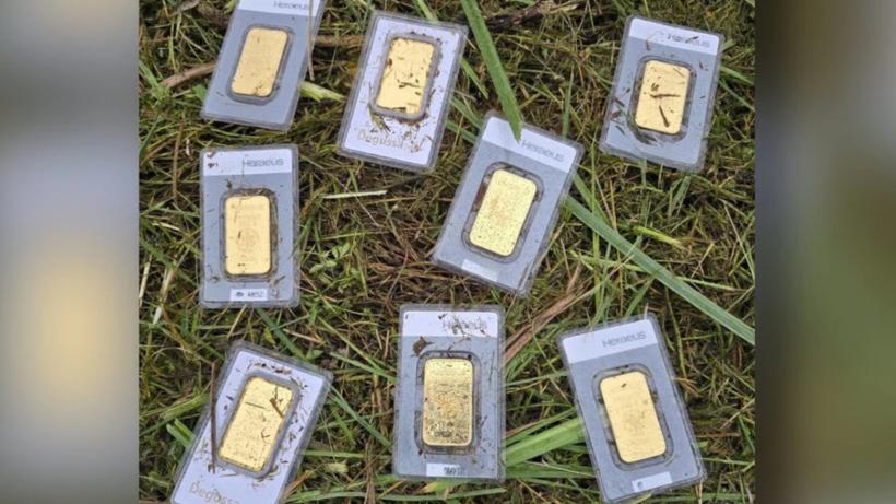 Zece lingouri de aur, descoperite de angajatul unei primării în timp ce tundea iarba: Nimeni nu le-a revendicat. Cine va păstra comoara