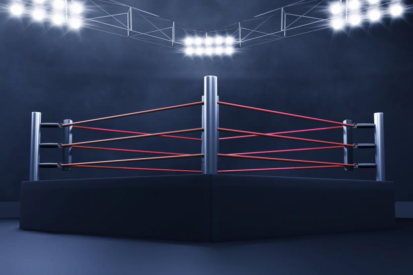 Nuntă atipică: un cuplu a organizat ceremonia în ring de wrestling. Cine pierde face treburile casnice pe viață