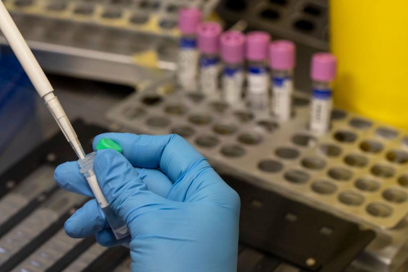 Europa se pregătește să aprobe noi Organisme Modificate Genetic, OMG. Protestele au început deja