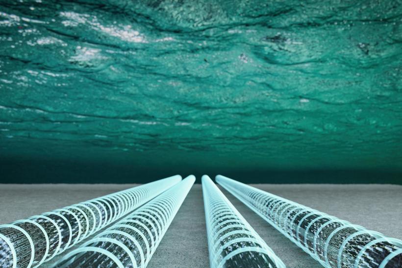 Coridorul digital de sub Atlantic. 7.000 km de cabluri submarine vor lega Portugalia de SUA. Ce este sistemul „Nuvem” al Google?