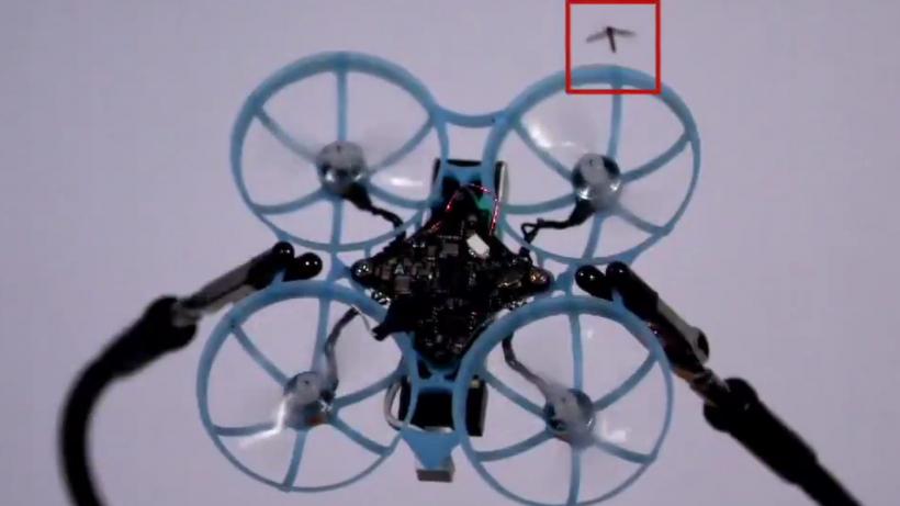 A fost inventată drona care omoară insectele în zbor. Este de mărimea unei palme și cântărește numai 40 de grame