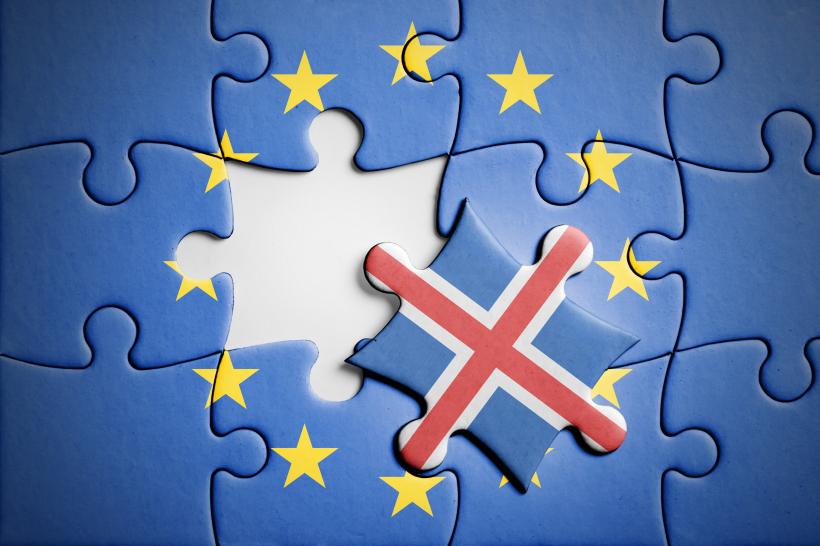 Începe „lupta” pentru aderarea Islandei la UE. Șefa opoziției islandeze le cere europenilor să nu influențeze referendumul din august