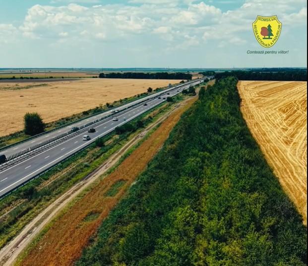 Sute de mii de duzi, măceși și vișini turcești au apărut la marginea Autostrăzii Soarelui. Romsilva le explică rolul: Asigură protecție
