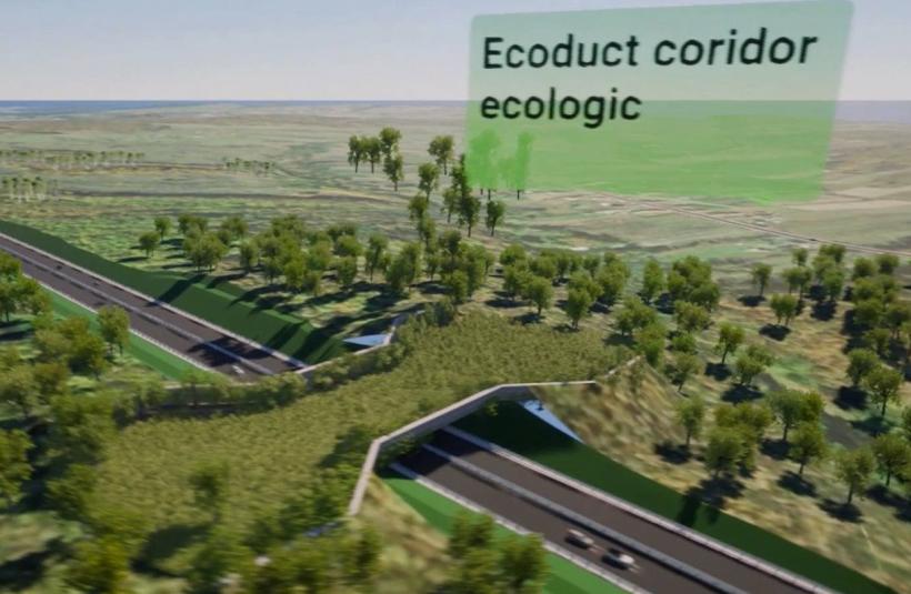 Cum va arăta lotul 6 al drumului expres Craiova-Târgu Jiu. Va avea aproape 20 de kilometri și va include un ecoduct