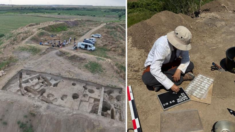 Mii de descoperiri arheologice în "oraşul pierdut" şi regăsit lângă Bucureşti. "Urmează luni restaurare, desen, fotografie şi analize"