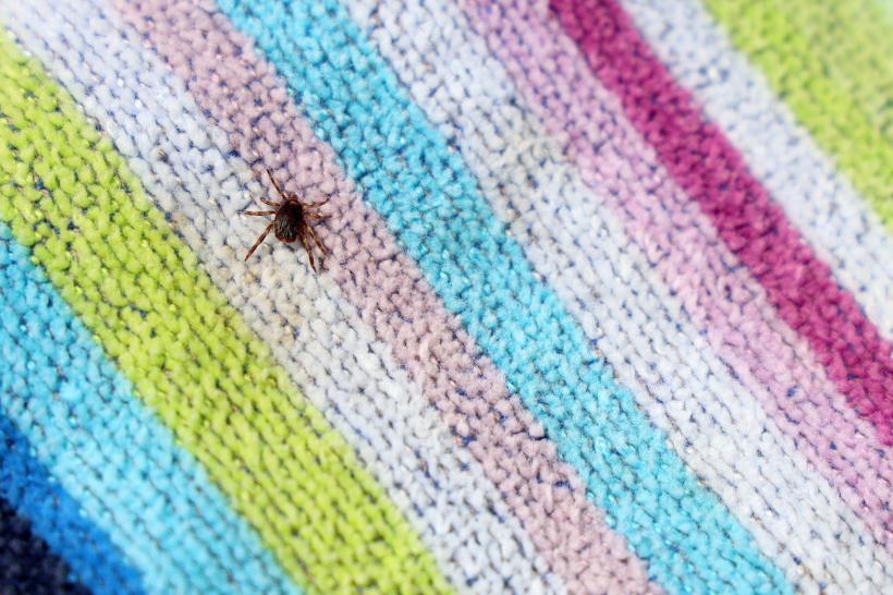 Vacanță de coșmar în Grecia: Victoria a stat 42 de zile în comă după ce a fost mușcată de o căpușă. Acum are pierderi de memorie