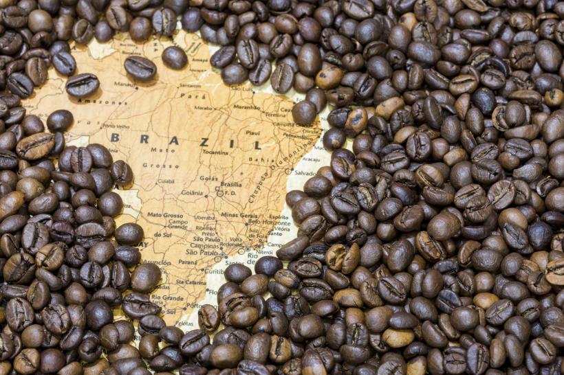 De ce se scumpește cafeaua din nou. De ce cresc prețurile chiar dacă Brazilia anunță recolte record