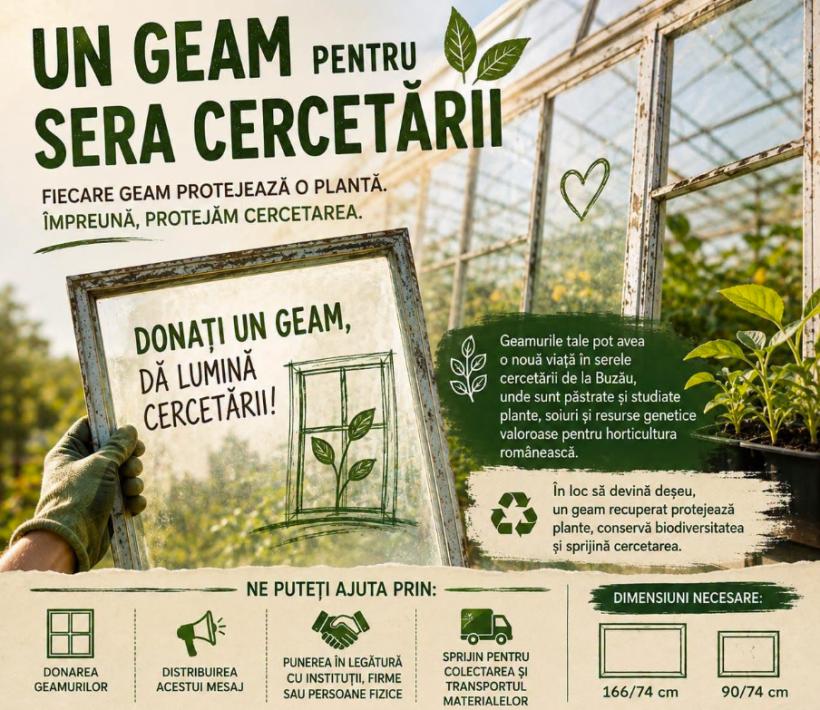 Cercetătorii de la Stațiunea Legumicolă din Buzău fac apel la donații de geamuri vechi pentru serele distruse de furtuni
