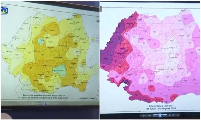 HARTA secetei care topește porumbul și floarea-soarelui. Limita de temperatură suportată a fost depășită. Urmează șase zile de arșiță