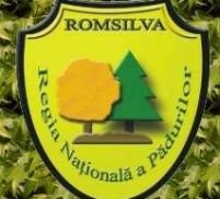 Directorul de la Romsilva a demisionat

