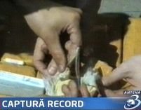 50 de kg de heroină confiscate în vama Nădlac
