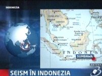 Cutremur de 6,5 grade în arhipelagul indonezian