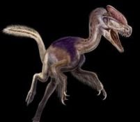 Fosila unei păsări-dinozaur descoperită în China