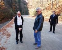 Greenpeace îi cere lui Băsescu să abandoneze construcţia DN 66A
