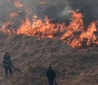 Paradisul din Insulele Canare distrus de foc 