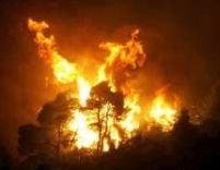 Grecia. 15 oameni au murit în urma incendiilor 