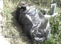 Cadavru decapitat şi fără membre găsit în Caraş-Severin <font color=red>(VIDEO)</font>