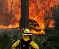 California în flăcări. Un mort, zeci de răniţi, 500.000 de oameni evacuaţi
