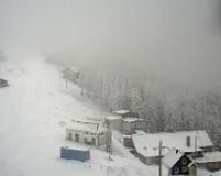 Ninge în Munţii Rodnei, la înălţimi de peste 1.600 de metri

