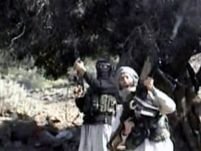 Al-Qaida antrenează terorişti minori pentru atentate asupra Marii Britanii