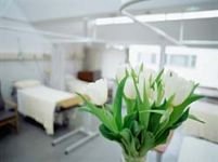 Englezii vor să interzică florile în spitale în numele sănătăţii