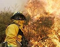 Incendiu în California: 10.000 de persoane evacuate, printre care şi vedete de la Hollywood