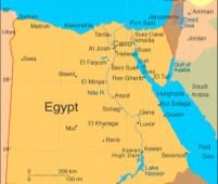 Egipt. Virusul H5N1 a ucis patru oameni în ultima săptămână