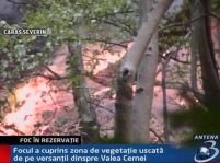 Incendiu în Parcul Naţional Domogled