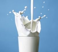 România are cele mai mari preţuri la lapte, dintre ţările UE