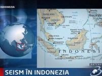 Seism de 6,6 grade în Indonezia. Alertă de tsunami